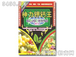 山東省青州市裕農(nóng)肥料廠 甲殼素農(nóng)業(yè)肥料的創(chuàng)新研發(fā)與市場(chǎng)拓展