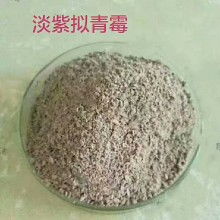 微生物肥料價(jià)格走勢(shì)與市場(chǎng)動(dòng)態(tài) 聚焦農(nóng)化網(wǎng)第三頁批發(fā)報(bào)價(jià)及甲殼素農(nóng)業(yè)肥料研發(fā)銷售新趨勢(shì)